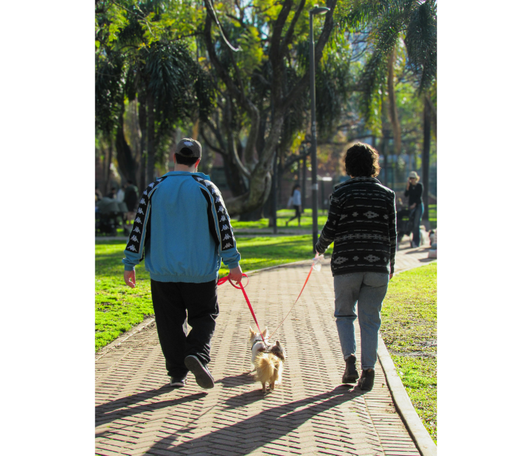 Two people walking dogs in a park.