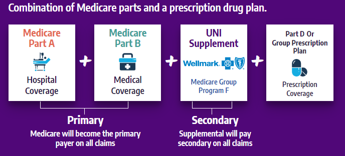 insurance graphic