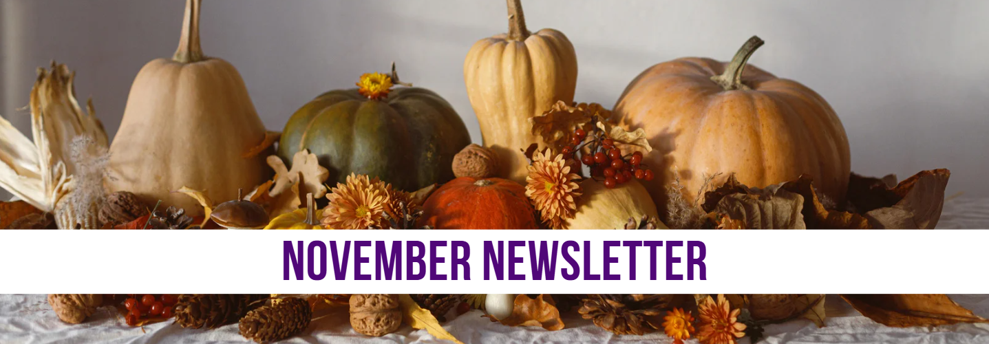 November Newsletter