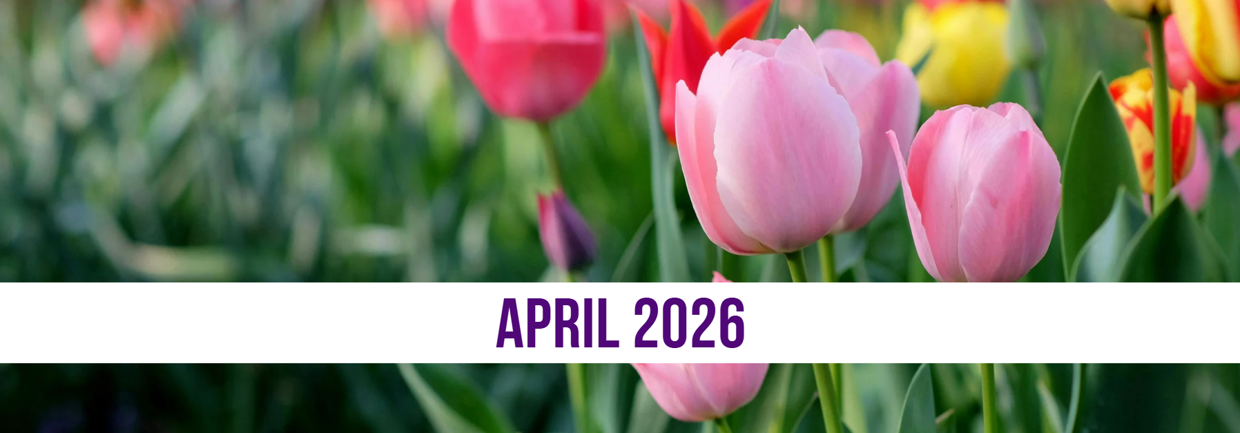 April 2026