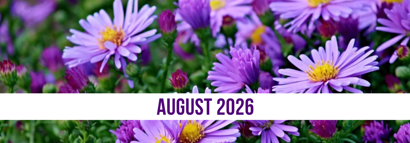 August 2026