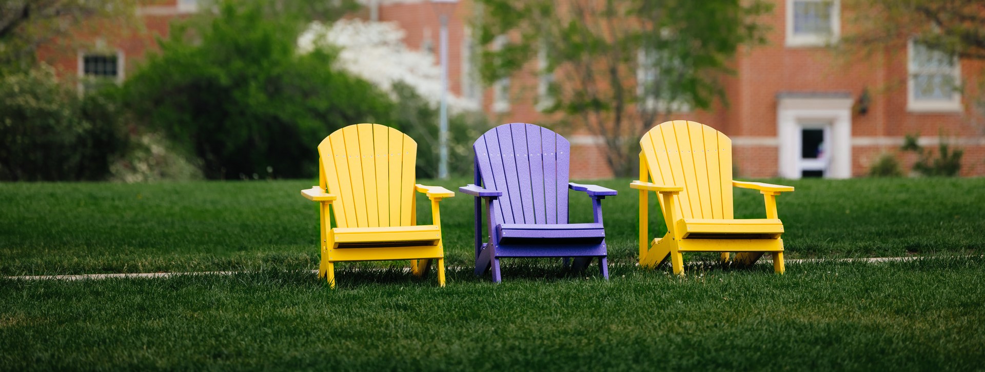 yellow and purple adirondack chairs