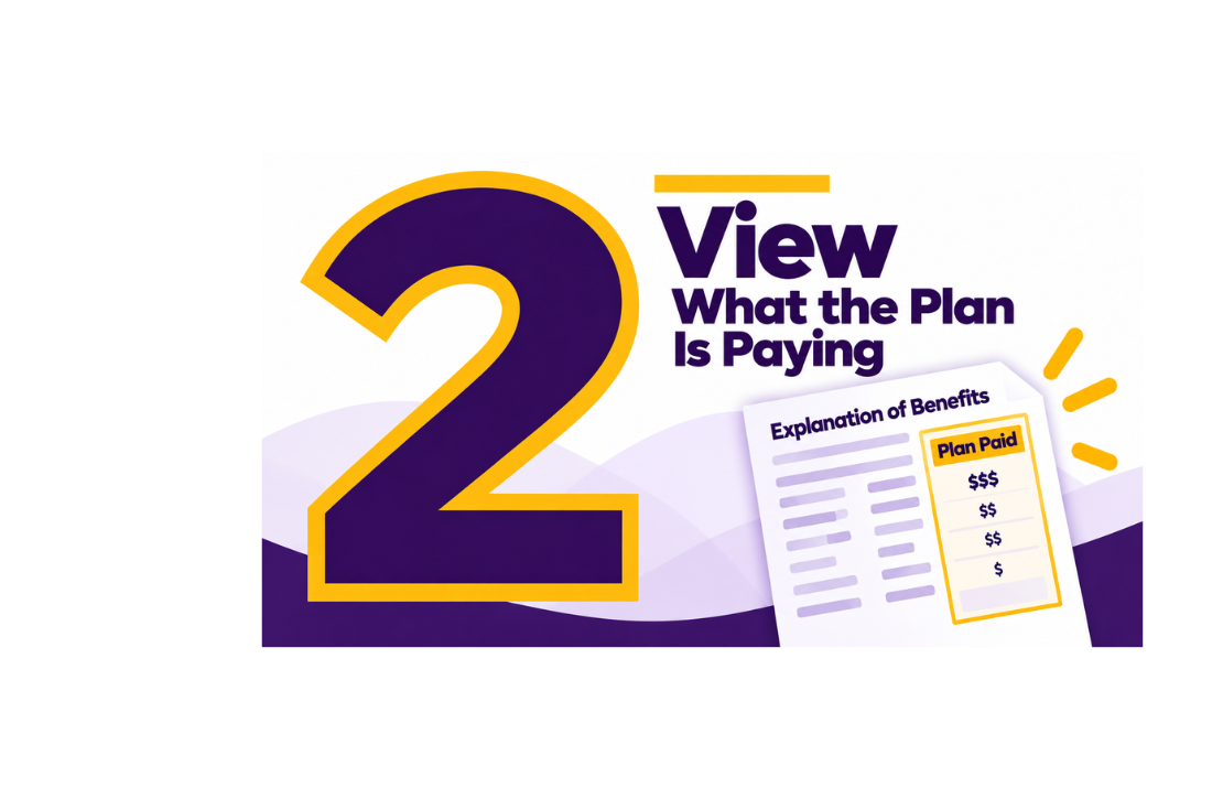 2 View What the Plan is Paying